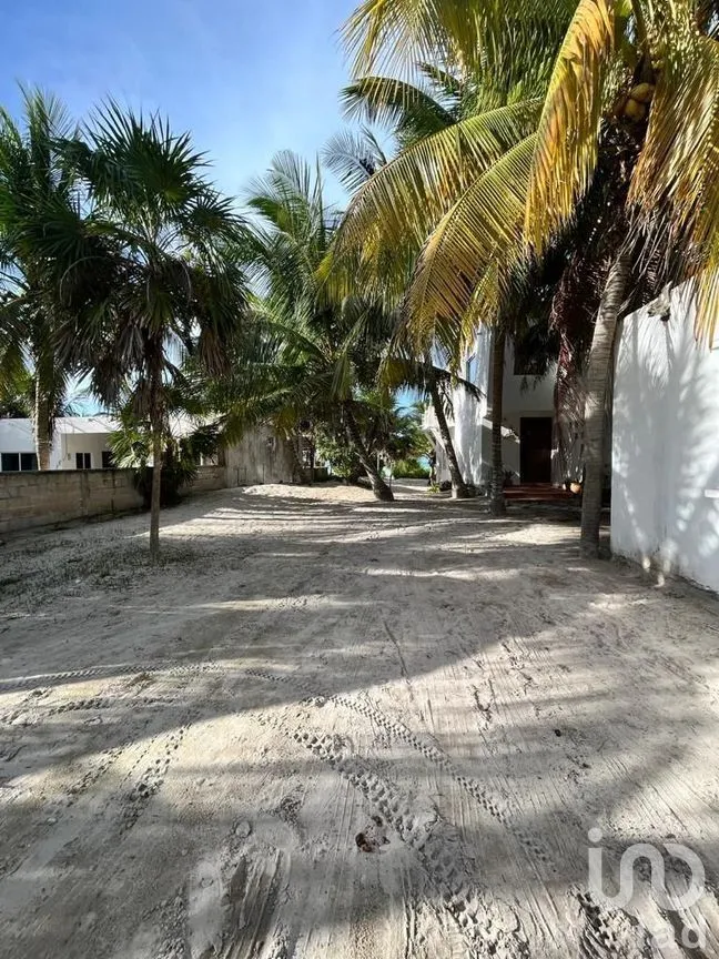 Terreno en Venta en El Cuyo, Tizimín, Yucat án | NEX-276603 | iad México | Foto 5 de 5