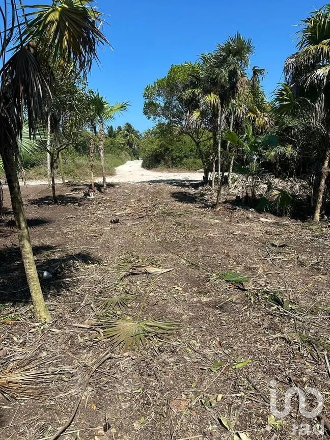 Terreno en Venta en El Cuyo, Tizimín, Yucatán | NEX-276621 | iad México | Foto 1 de 2