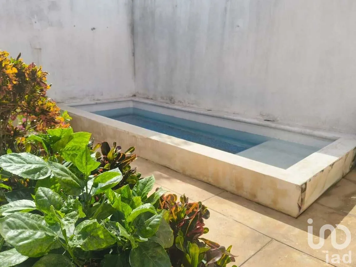 Casa en Venta en Los Reyes, Tizimín, Yucatán | NEX-276843 | iad México | Foto 9 de 14