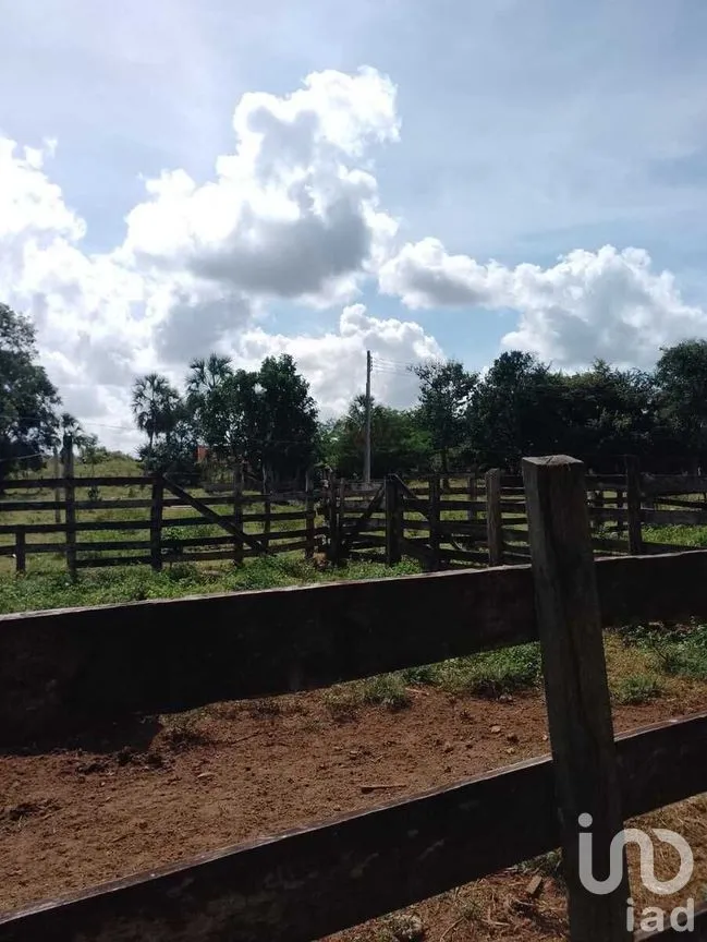 Terreno en Venta en Colonia Yucatán, Tizimín, Yucatán | NEX-276893 | iad México | Foto 2 de 17