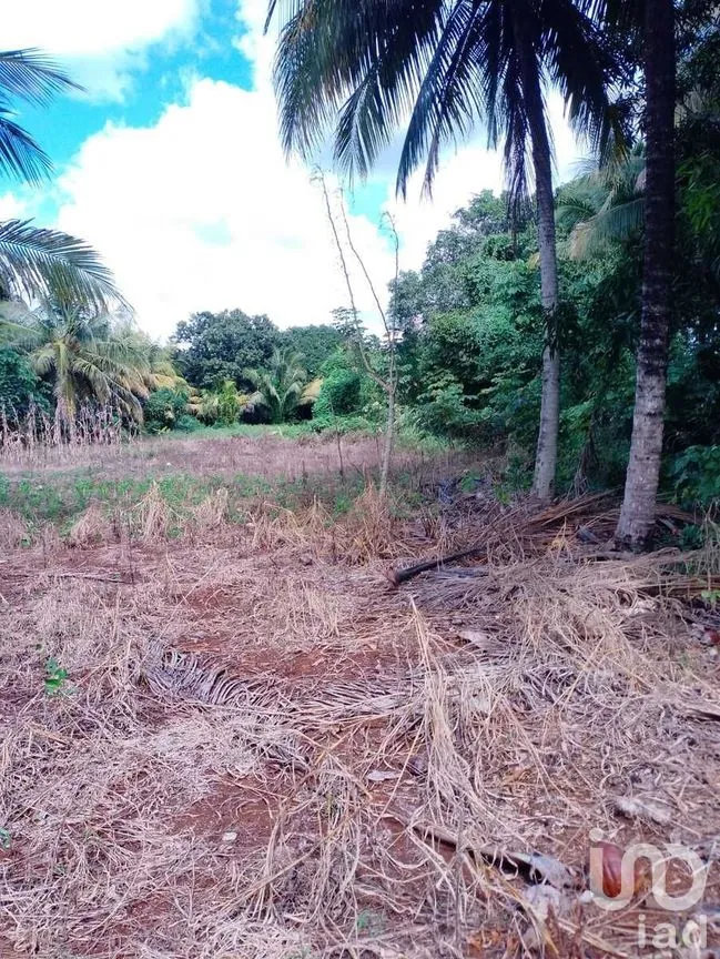 Terreno en Venta en Colonia Yucatán, Tizimín, Yucatán | NEX-276893 | iad México | Foto 12 de 17