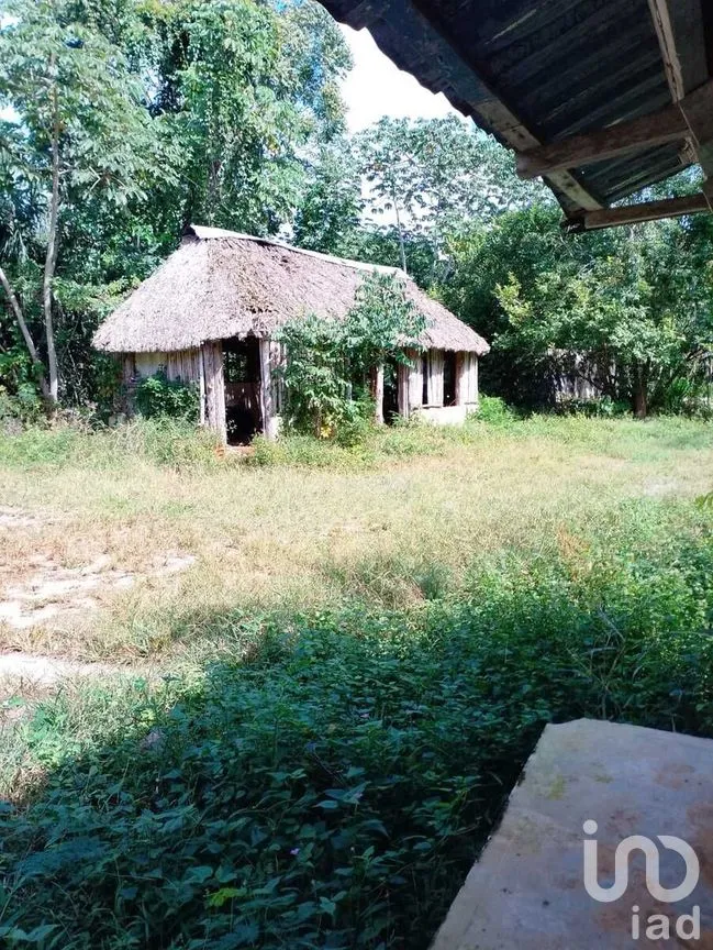 Terreno en Venta en Colonia Yucatán, Tizimín, Yucatán | NEX-276893 | iad México | Foto 15 de 17