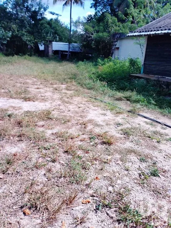 Terreno en Venta en Colonia Yucatán, Tizimín, Yucatán | NEX-276893 | iad México | Foto 16 de 17