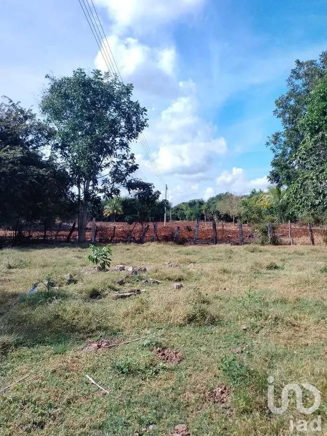 Terreno en Venta en Colonia Yucatán, Tizimín, Yucatán | NEX-276893 | iad México | Foto 17 de 17
