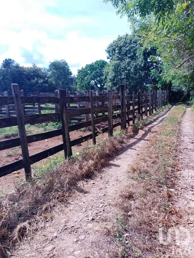 Terreno en Venta en Colonia Yucatán, Tizimín, Yucatán | NEX-276893 | iad México | Foto 3 de 17