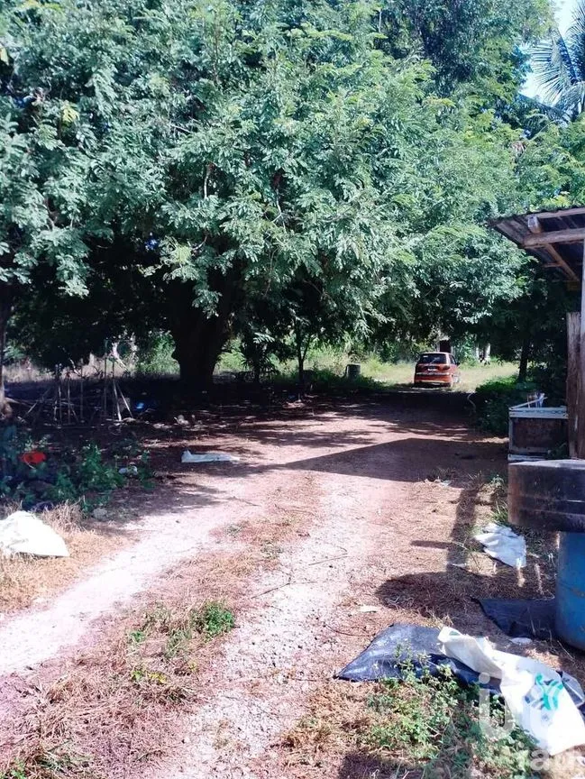 Terreno en Venta en Colonia Yucatán, Tizimín, Yucatán | NEX-276893 | iad México | Foto 4 de 17
