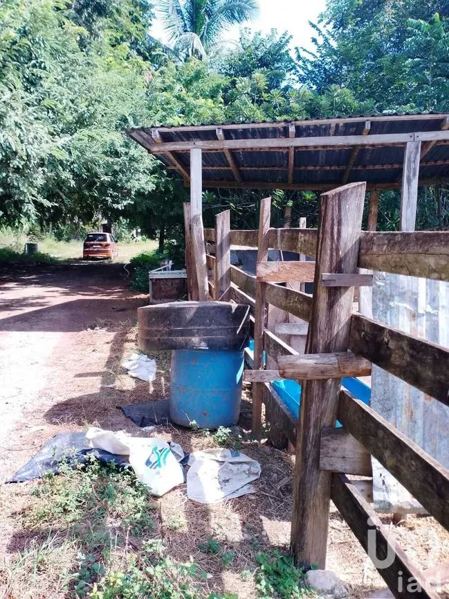 Terreno en Venta en Colonia Yucatán, Tizim ín, Yucatán | NEX-276893 | iad México | Foto 5 de 17