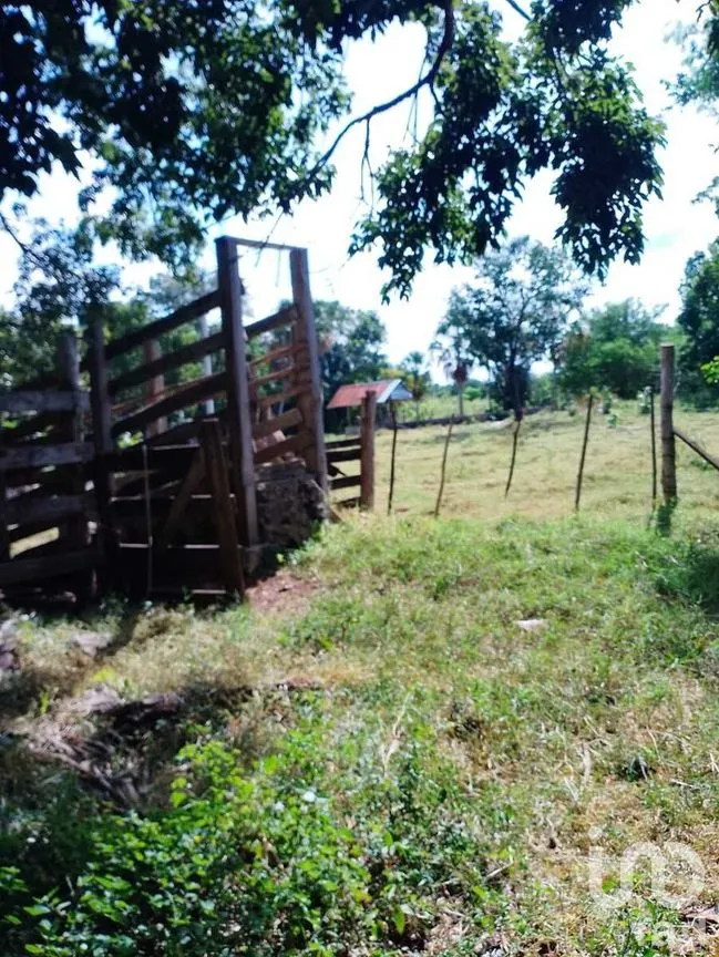 Terreno en Venta en Colonia Yucatán, Tizimín, Yucatán | NEX-276893 | iad México | Foto 7 de 17