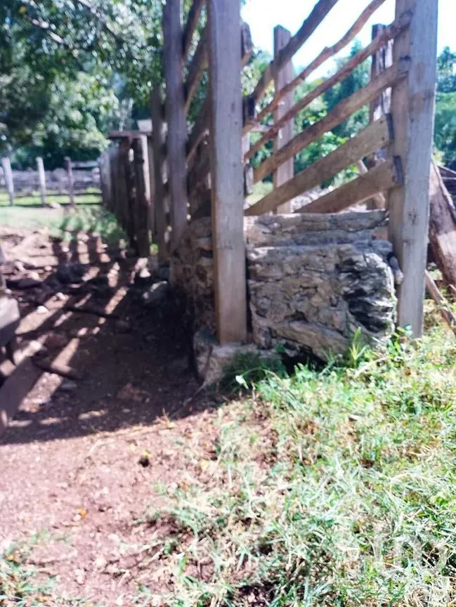 Terreno en Venta en Colonia Yucatán, Tizimín, Yucatán | NEX-276893 | iad México | Foto 8 de 17