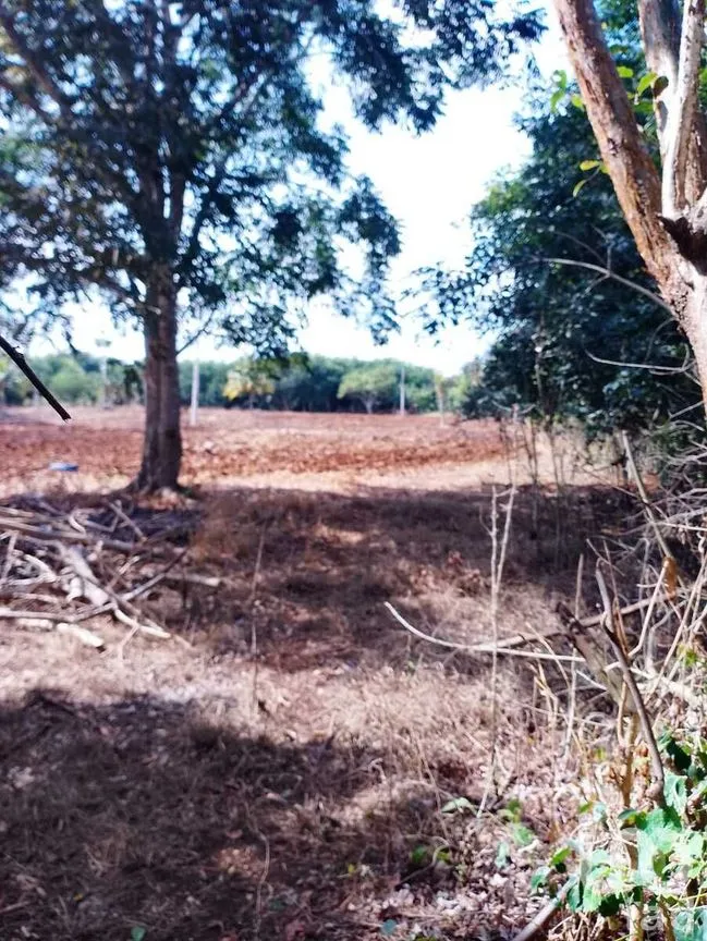 Terreno en Venta en Colonia Yucatán, Tizimín, Yucatán | NEX-276893 | iad México | Foto 10 de 17
