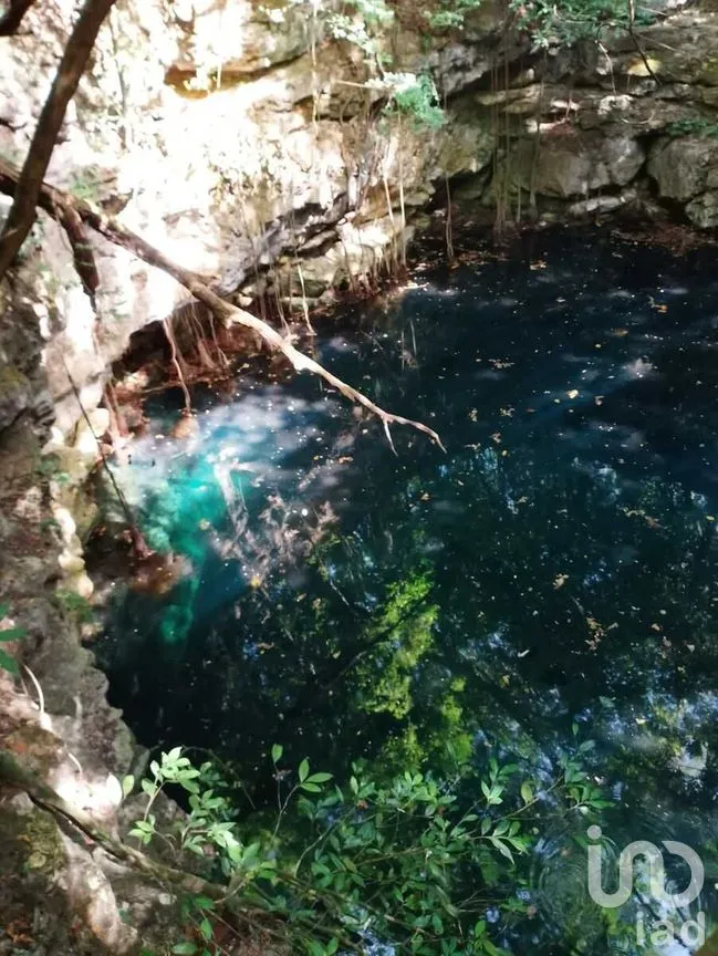 Terreno en Venta en Colonia Yucatán, Tizimín, Yucatán | NEX-276893 | iad México | Foto 1 de 17