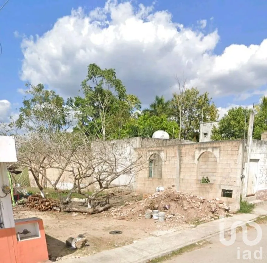 Terreno en Venta en Santa Ana, Valladolid, Yucatán | NEX-277404 | iad México | Foto 3 de 7