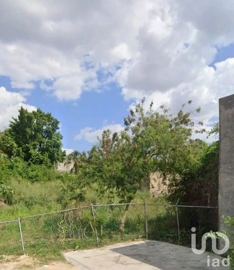 Terreno en Venta en Santa Ana, Valladolid, Yucatán | NEX-277404 | iad México | Foto 5 de 7