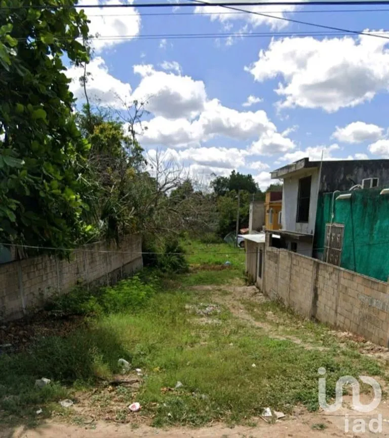 Terreno en Venta en Santa Ana, Valladolid, Yucatán | NEX-277404 | iad México | Foto 6 de 7