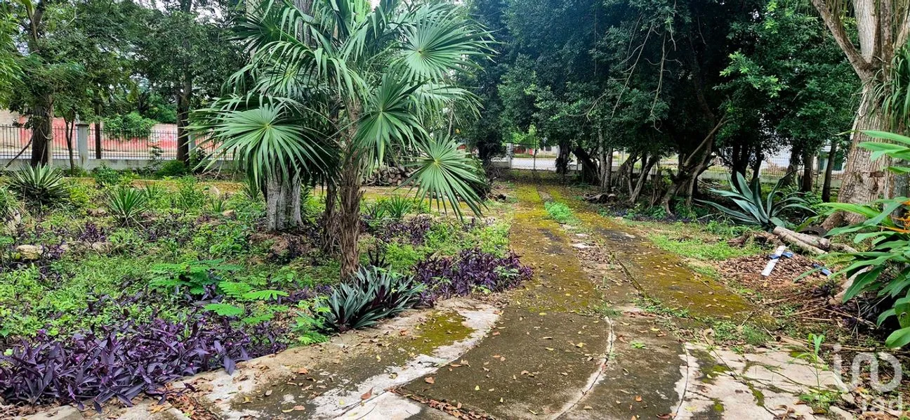 Casa en Venta en Tizimin Centro, Tizimín, Yucatán | NEX-279112 | iad México | Foto 22 de 32