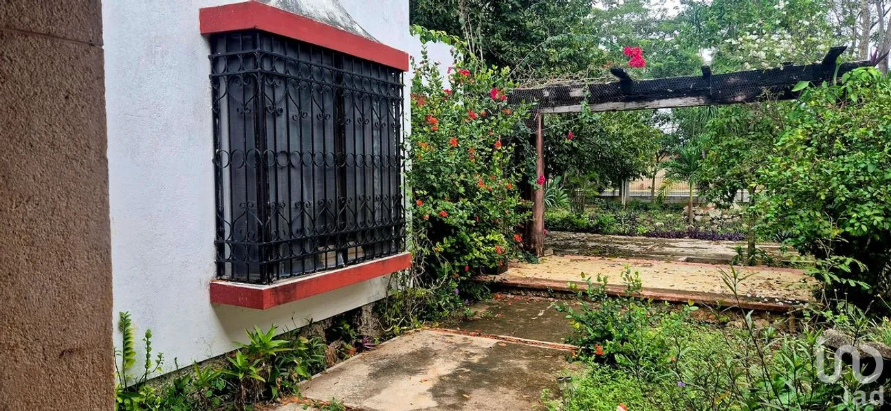Casa en Venta en Tizimin Centro, Tizimín, Yucatán | NEX-279112 | iad México | Foto 23 de 32