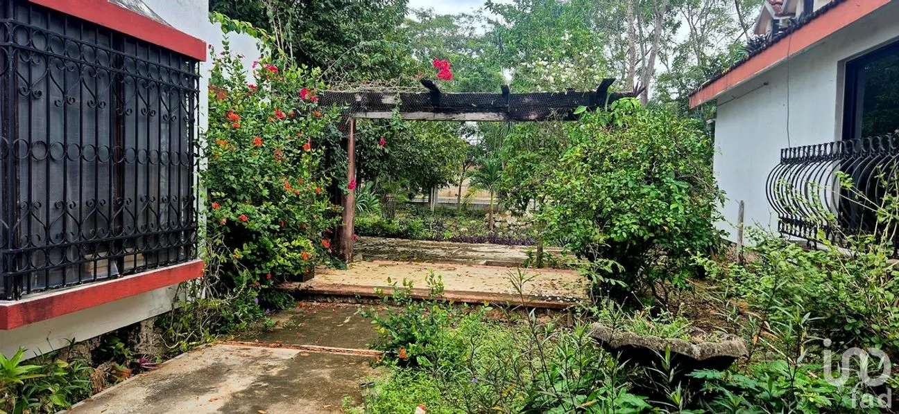Casa en Venta en Tizimin Centro, Tizimín, Yucatán | NEX-279112 | iad México | Foto 24 de 32