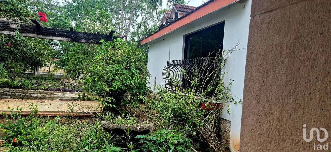 Casa en Venta en Tizimin Centro, Tizimín, Yucatán | NEX-279112 | iad México | Foto 25 de 32