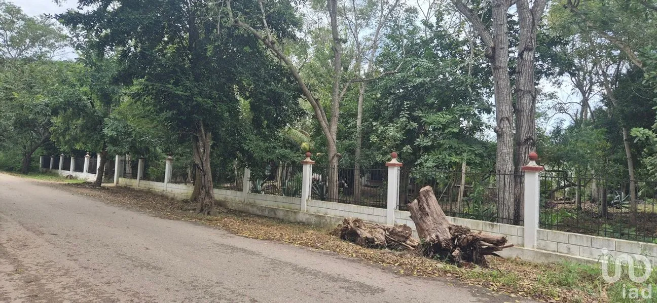 Casa en Venta en Tizimin Centro, Tizimín, Yucatán | NEX-279112 | iad México | Foto 4 de 32