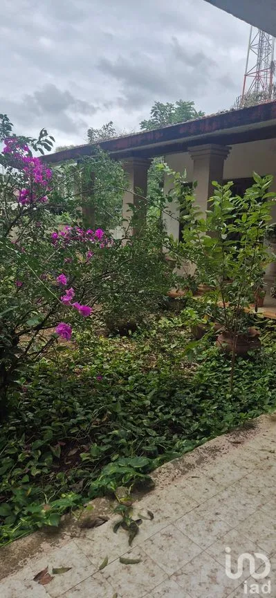 Casa en Venta en Tizimin Centro, Tizimín, Yucatán | NEX-279112 | iad México | Foto 31 de 32