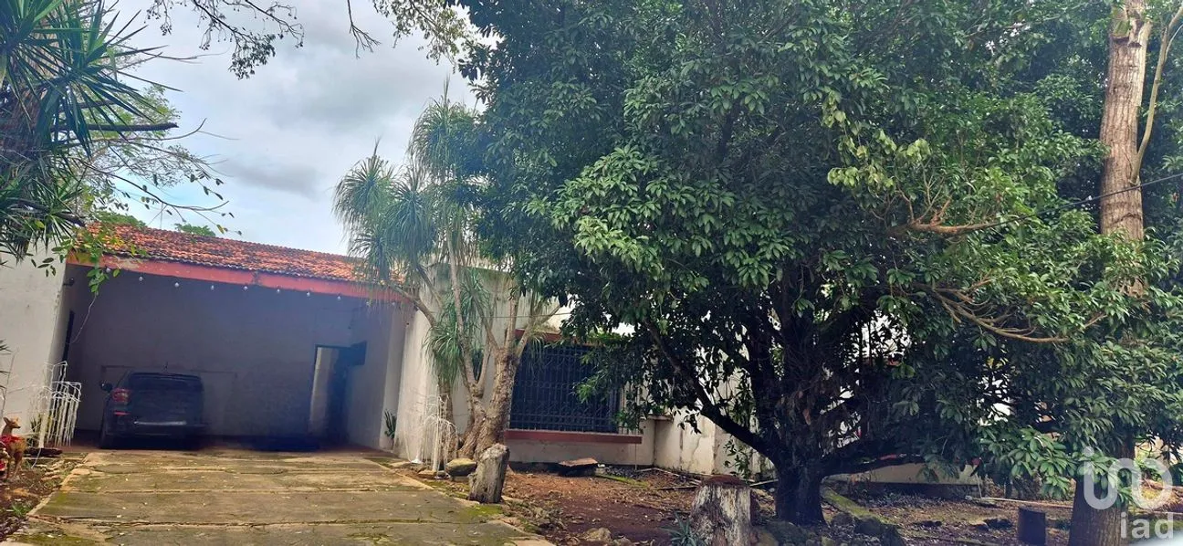 Casa en Venta en Tizimin Centro, Tizimín, Yucatán | NEX-279112 | iad México | Foto 5 de 32
