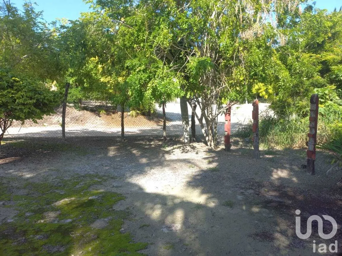 Terreno en Venta en El Cuyo, Tizimín, Yucatán | NEX-282794 | iad México | Foto 2 de 9