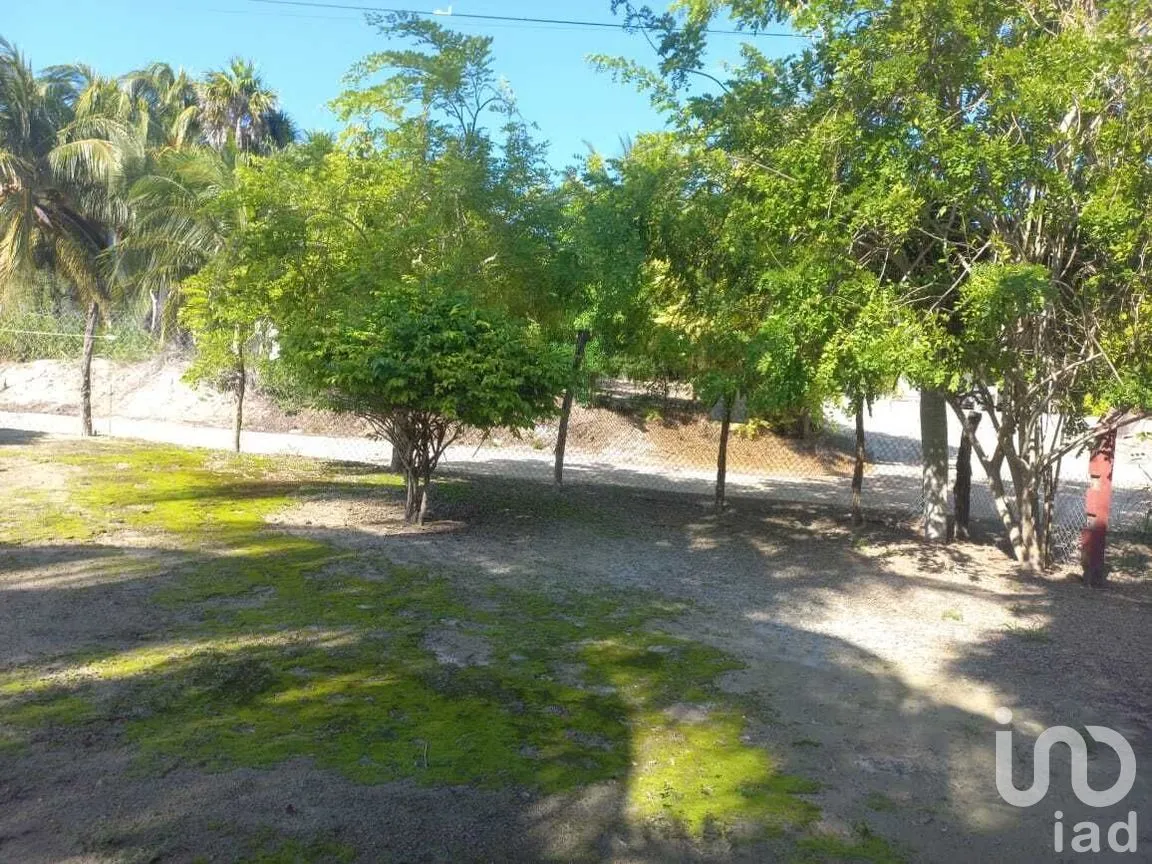 Terreno en Venta en El Cuyo, Tizimín, Yucatán | NEX-282794 | iad México | Foto 4 de 9