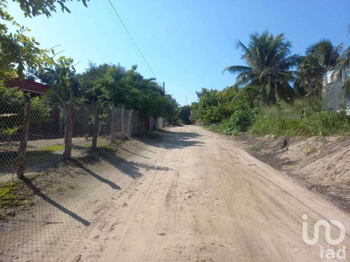 Terreno en Venta en El Cuyo, Tizimín, Yucatán | NEX-282794 | iad México | Foto 5 de 9