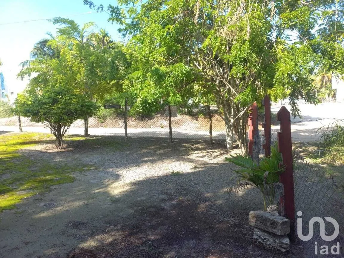 Terreno en Venta en El Cuyo, Tizimín, Yucatán | NEX-282794 | iad México | Foto 8 de 9