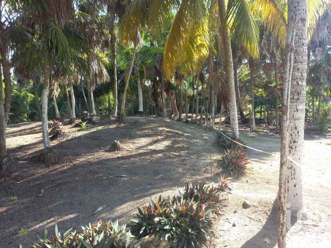 Terreno en Venta en El Cuyo, Tizimín, Yucatán | NEX-282794 | iad México | Foto 9 de 9