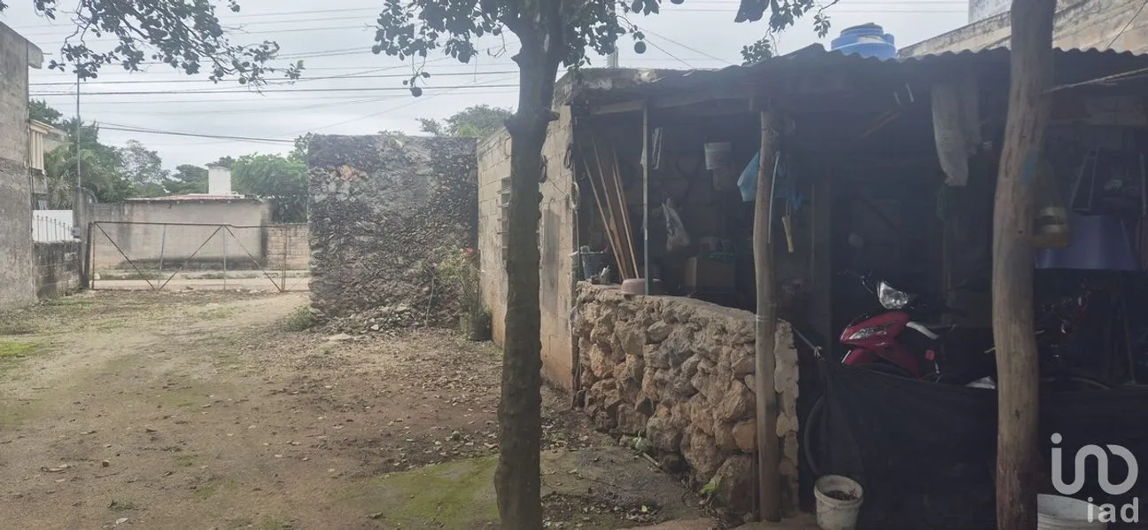 Casa en Venta en 8 Calles, Tizimín, Yucatán | NEX-283007 | iad México | Foto 3 de 7