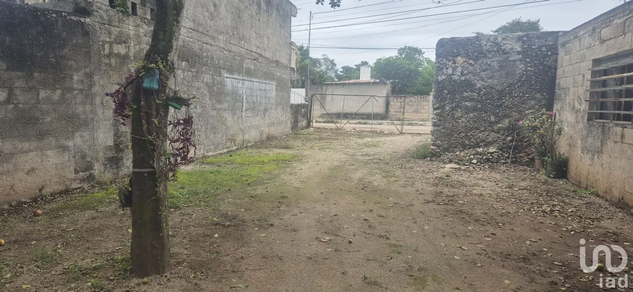 Casa en Venta en 8 Calles, Tizimín, Yucatán | NEX-283007 | iad México | Foto 4 de 7
