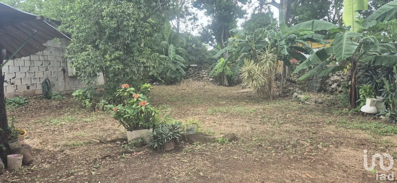 Casa en Venta en 8 Calles, Tizimín, Yucatán | NEX-283007 | iad México | Foto 5 de 7