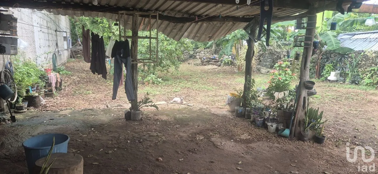 Casa en Venta en 8 Calles, Tizimín, Yucatán | NEX-283007 | iad México | Foto 6 de 7