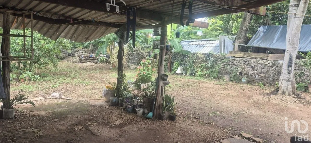 Casa en Venta en 8 Calles, Tizimín, Yucatán | NEX-283007 | iad México | Foto 7 de 7
