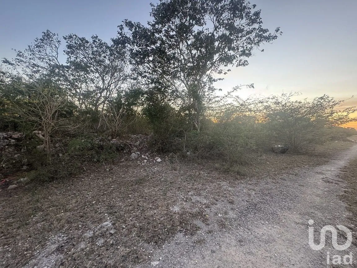 Terreno en Venta en Conkal, Conkal, Yucatán | NEX-284832 | iad México | Foto 2 de 11