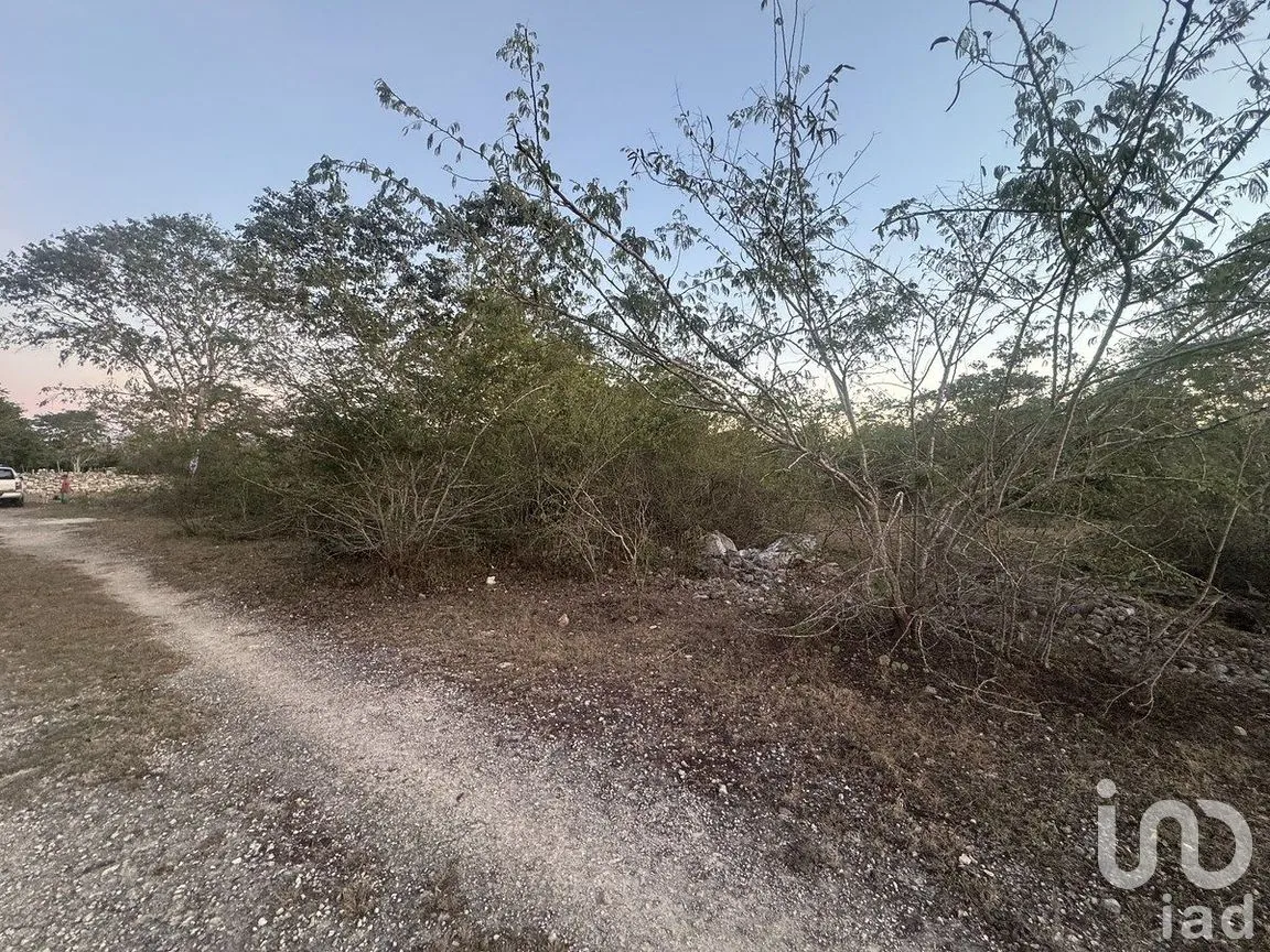 Terreno en Venta en Conkal, Conkal, Yucatán | NEX-284832 | iad México | Foto 3 de 11