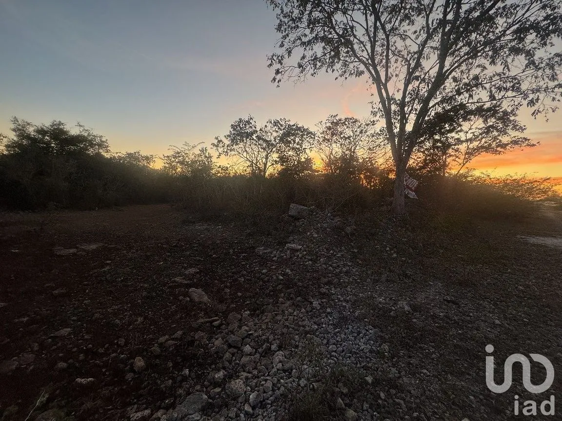 Terreno en Venta en Conkal, Conkal, Yucatán | NEX-284832 | iad México | Foto 5 de 11