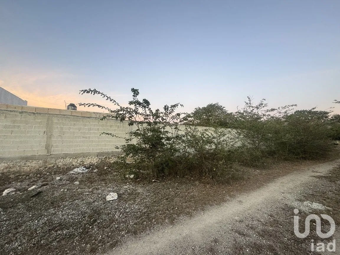 Terreno en Venta en Conkal, Conkal, Yucatán | NEX-284832 | iad México | Foto 6 de 11
