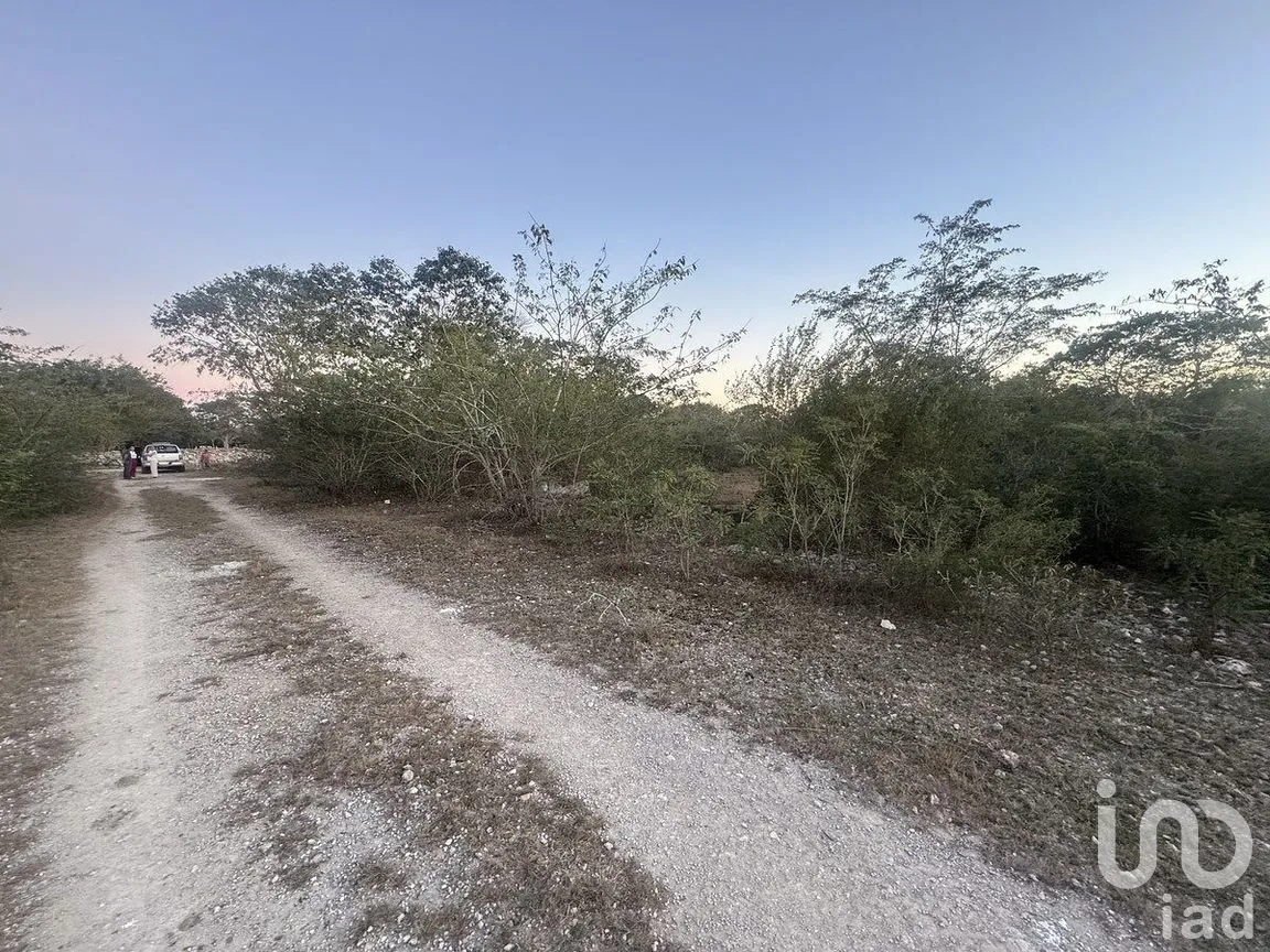 Terreno en Venta en Conkal, Conkal, Yucatán | NEX-284832 | iad México | Foto 7 de 11