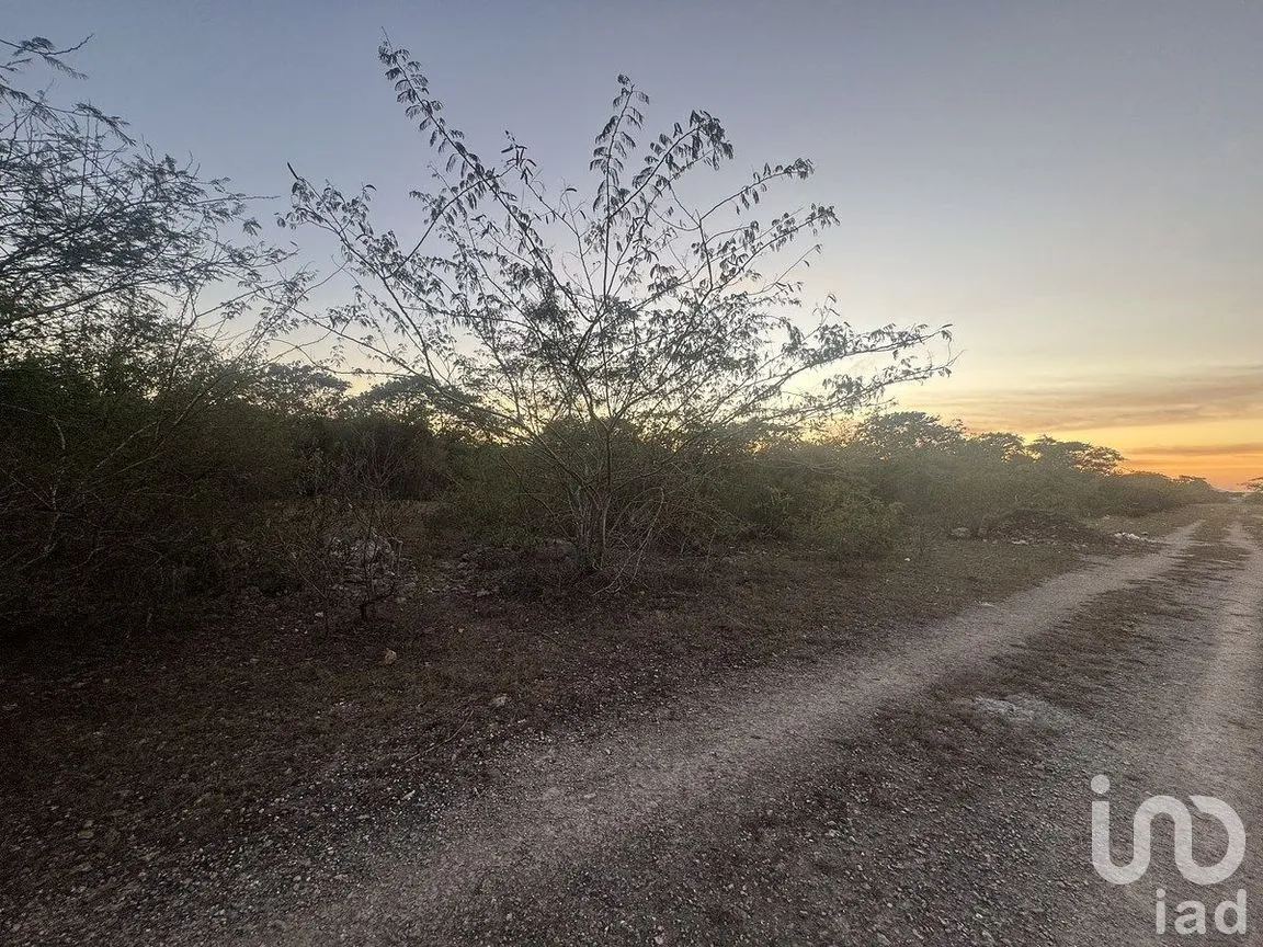 Terreno en Venta en Conkal, Conkal, Yucatán | NEX-284832 | iad México | Foto 1 de 11