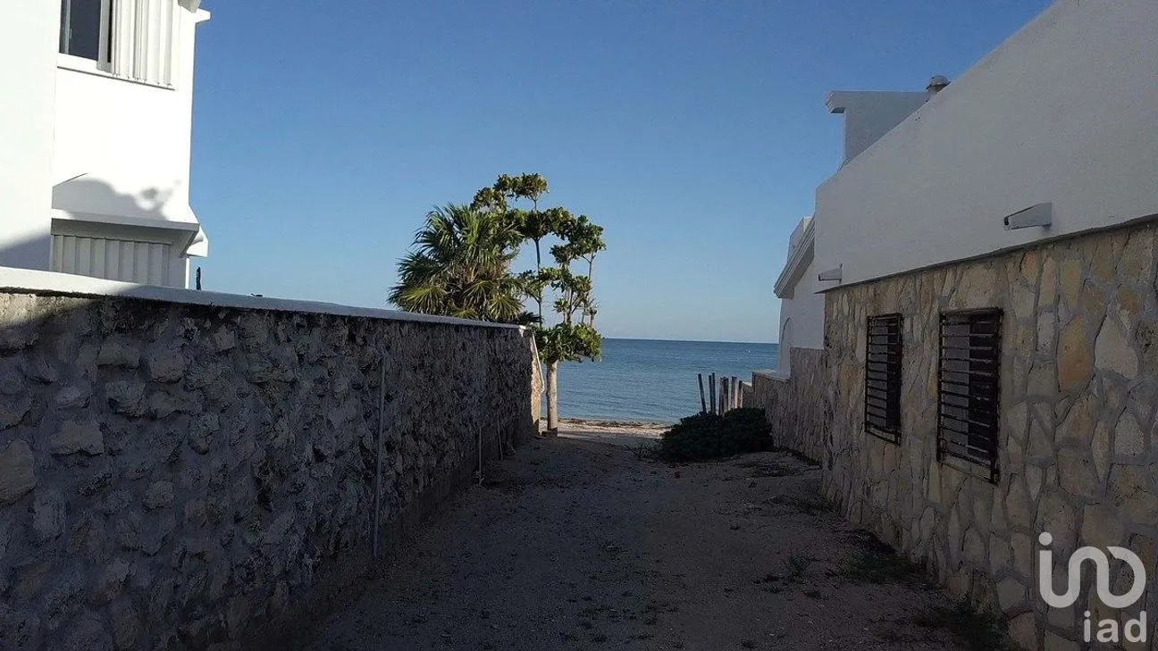 Terreno en Venta en Chicxulub, Chicxulub Pueblo, Yucatán | NEX-284844 | iad México | Foto 8 de 9