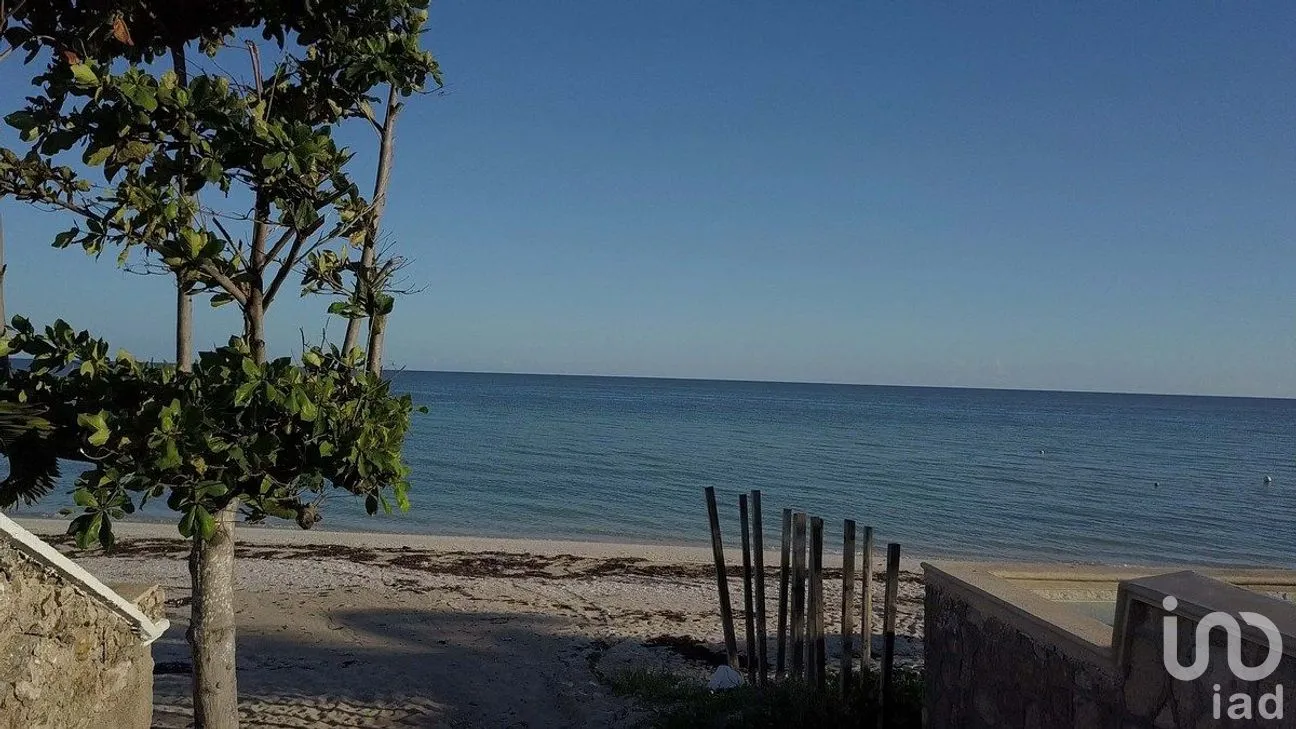 Terreno en Venta en Chicxulub, Chicxulub Pueblo, Yucatán | NEX-284844 | iad México | Foto 9 de 9