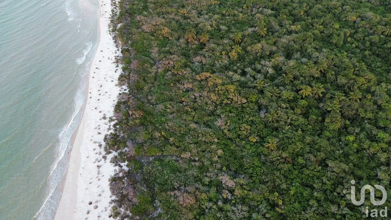 Terreno en Venta en Sisal, Hunucmá, Yucatán | NEX-284893 | iad México | Foto 2 de 16