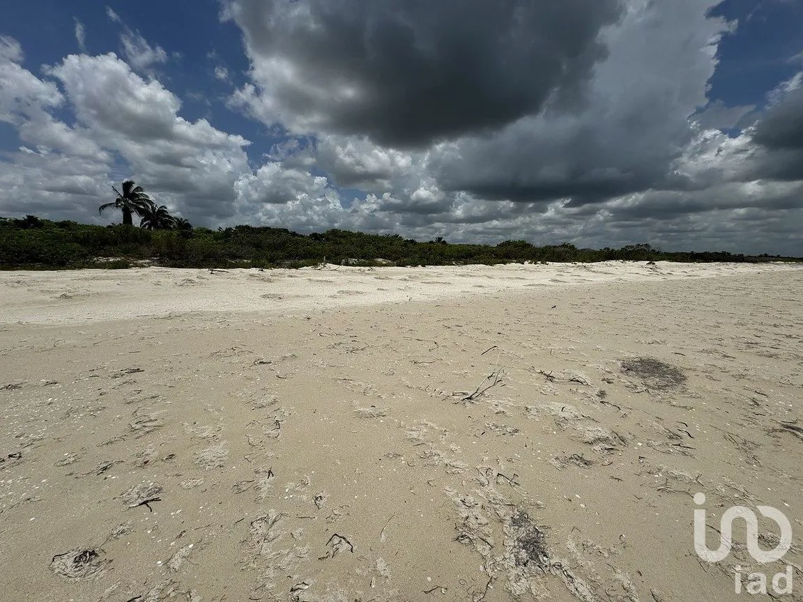 Terreno en Venta en Sisal, Hunucmá, Yucatán | NEX-284893 | iad México | Foto 13 de 16