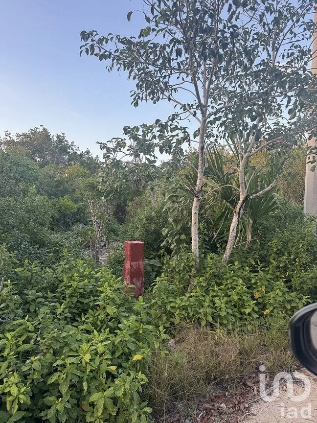 Terreno en Venta en Sisal, Hunucmá, Yucatán | NEX-284893 | iad México | Foto 4 de 16