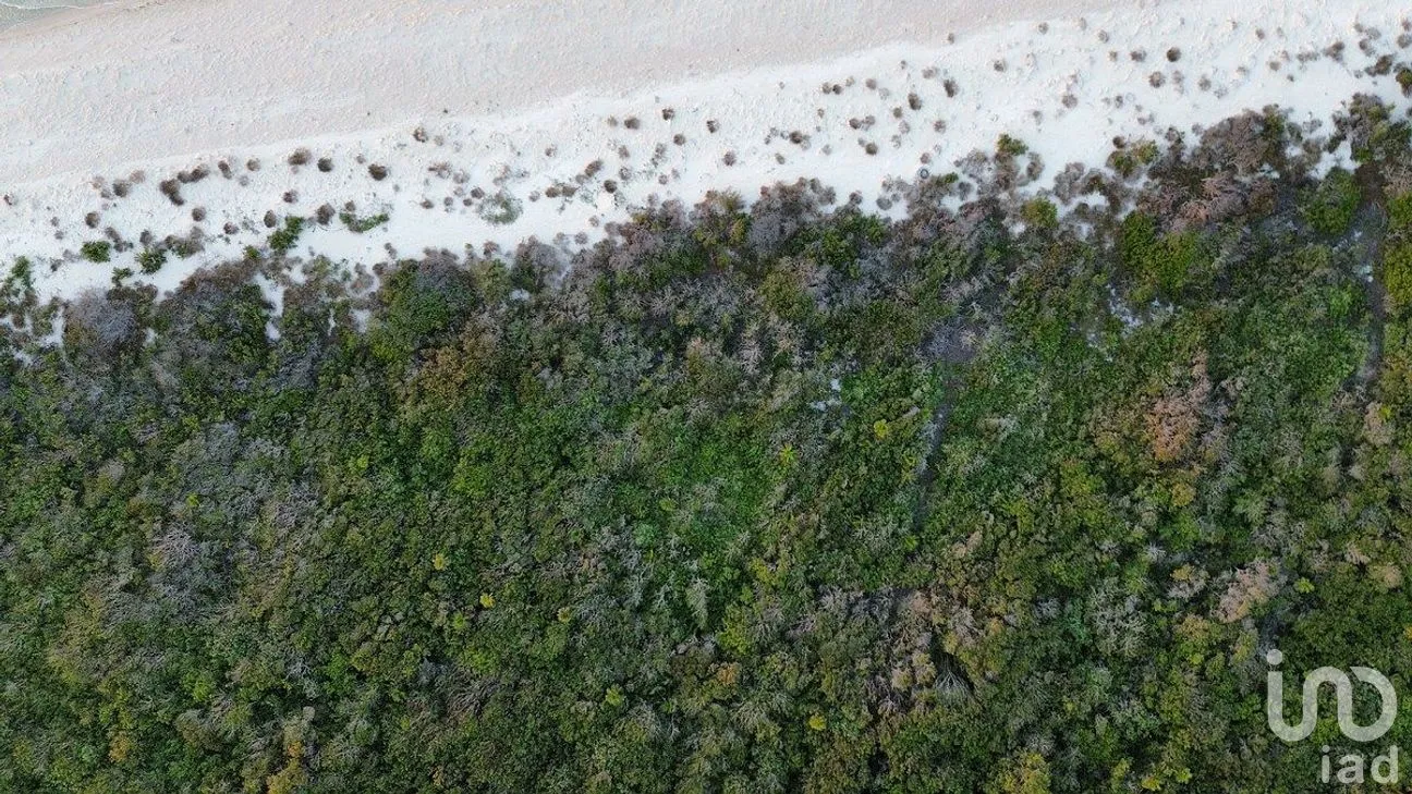 Terreno en Venta en Sisal, Hunucmá, Yucatán | NEX-284893 | iad México | Foto 5 de 16