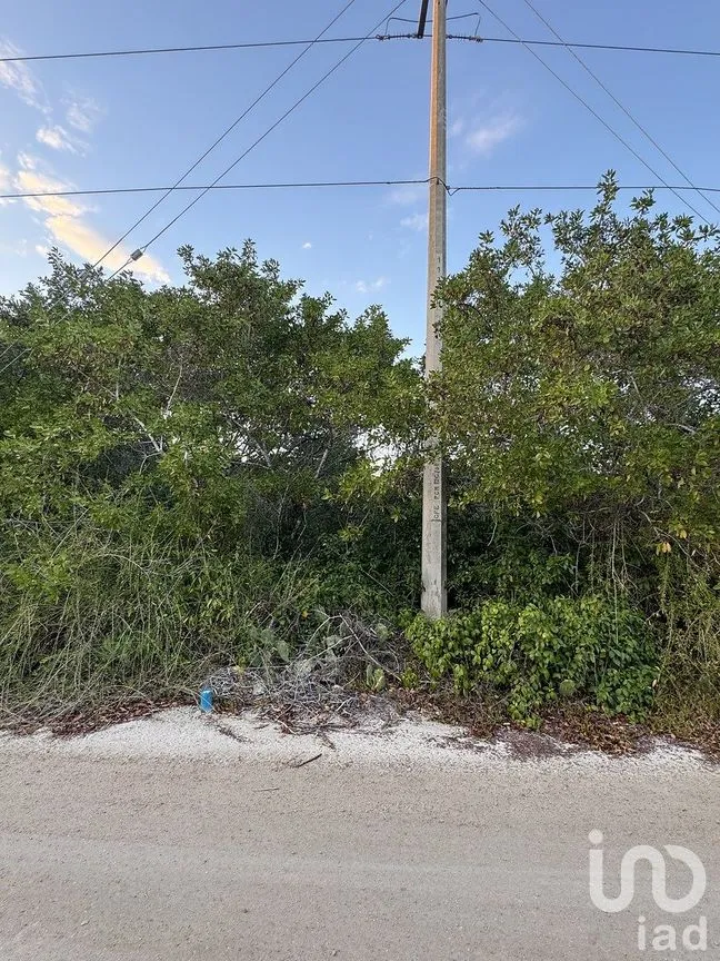 Terreno en Venta en Sisal, Hunucmá, Yucatán | NEX-284893 | iad México | Foto 8 de 16