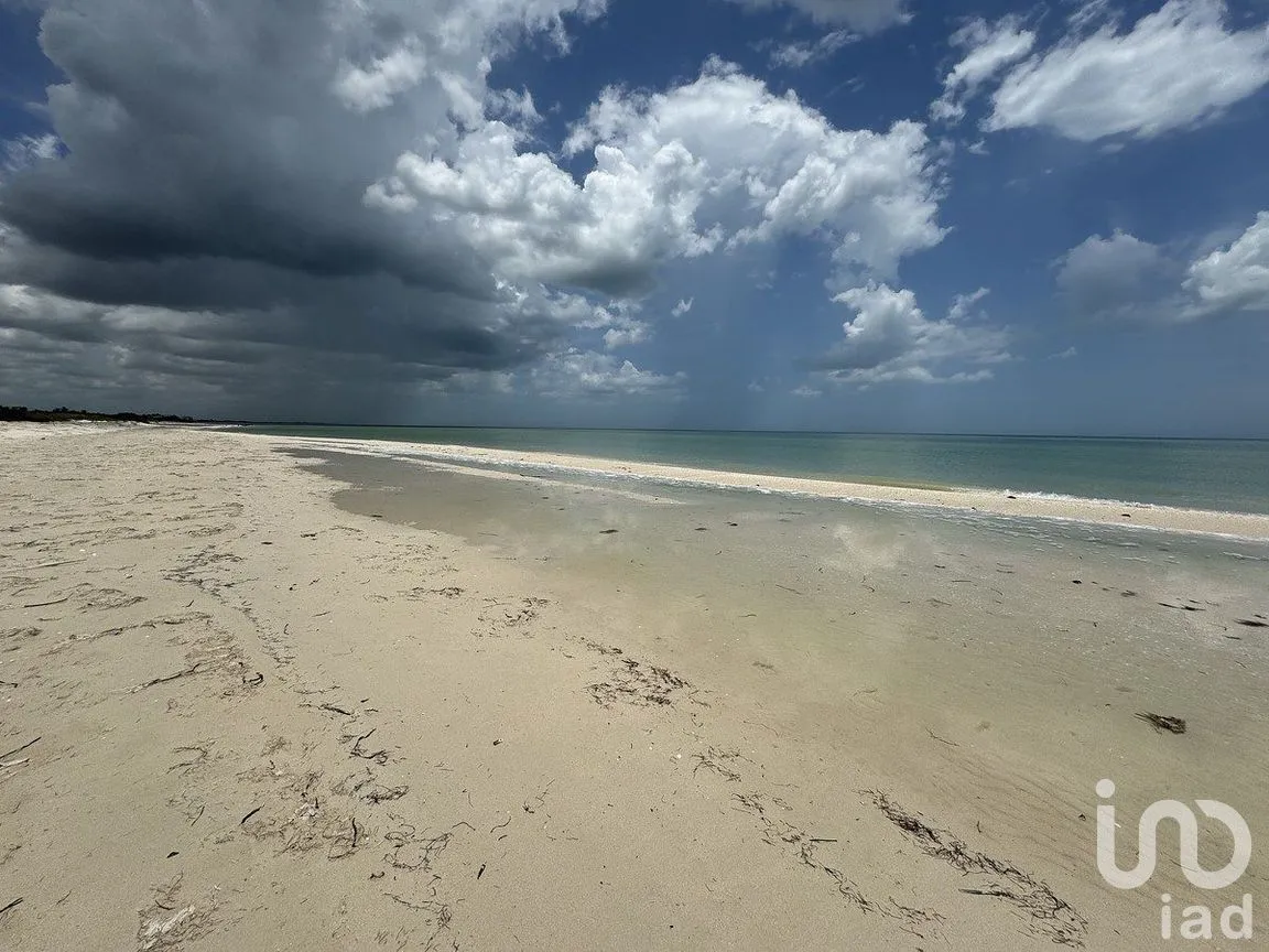 Terreno en Venta en Sisal, Hunucmá, Yucatán | NEX-284893 | iad México | Foto 10 de 16