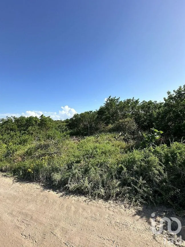 Terreno en Venta en Sisal, Hunucmá, Yucatán | NEX-284896 | iad México | Foto 4 de 8